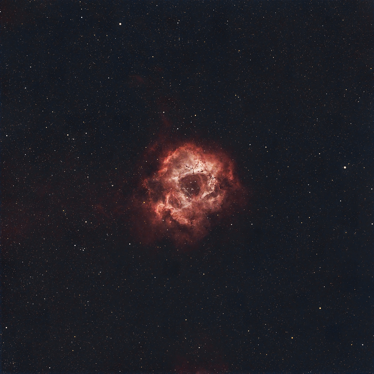 Rosette Nebula 3